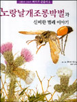 노랑날개조롱박벌과 신비한 벌레이야기 표지이미지