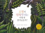 표범의 얼룩무늬는 어떻게 생겨났을까? 표지 이미지