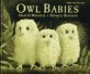 Owl Babies (Paperback, New ed)