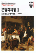문명화과정 2 (Uber den Prozess der Zivilisation)