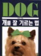 개를 잘 기르는 법