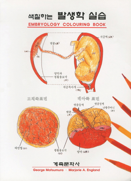 (색칠하는) 발생학 실습
