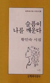 (황인숙 시집)슬픔이 나를 깨운다