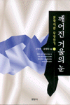 깨어진 거울의 눈 표지 이미지