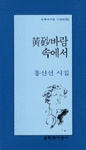 黃砂바람 속에서 : 홍신선 시집 표지이미지
