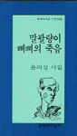 (윤의섭 시집)말괄량이 삐삐의 죽음