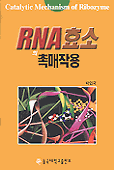 RNA 효소의 촉매작용 표지 이미지