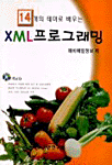 XML프로그래밍