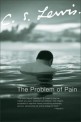 (The) problem of pain 