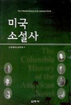 미국소설사 표지 이미지