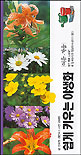 쉽게 키우는 야생화 여름 가을. 2 표지 이미지