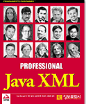 (Professional) Java XML