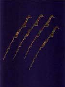 LIONS : 41st International Advertising Festival