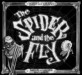 (The)Spider and the fly