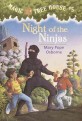 Night of the Ninj<span>a</span>s