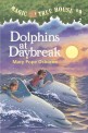 Magic Tree House. 9 Dolphins at Daybreak
