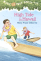 High tide in Hawaii