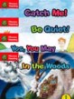 PHONICS READING. LEVEL 1 (FIFTH SET)