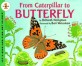From caterpillar to butterfly 