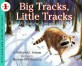Big tracks, little tracks :following animal prints 