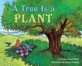A Tree Is a Plant (Paperback) - Let's-Read-and-Find-Out Science