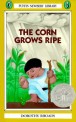 (The)corn grows ripe