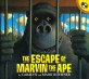 Escape of Marvin the Ape (Paperback)