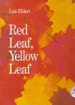 Red leaf, yellow leaf