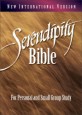 Serendipity Bible for groups : New International version.