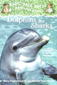 Dolphins and sharks : A nonfiction companion to dolphins at daybreak