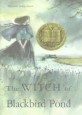 The Witch of Blackbird Pond (Hardcover)