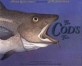 The Cod's Tale (Hardcover)