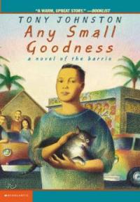 Any small goodness : A novel of the barrio