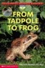 Scholasttc Science Level 1: From Tadpole To Frog