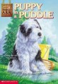 Puppy in a Puddle (Paperback)