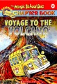 (The) magic school bus :a science chapter book