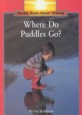 Where Do Puddles Go? (Library)
