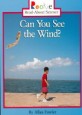 Can you see the wind?