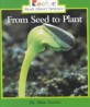 From Seed to Plant (Paperback)