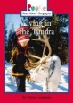 Living in the Tundra (Paperback)