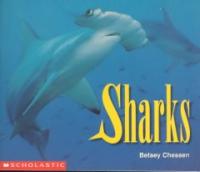 Sharks 표지 이미지