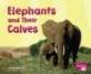 Elephants and Their Calves (Library Binding)