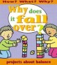 Why Does It Fall Over? (School & Library)