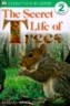DK Readers L2: The Secret Life of Trees (Paperback)