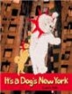 It's a dog's New York