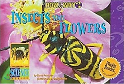 Insects visit flowers