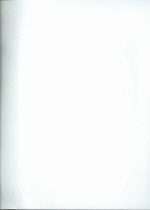 Whitney Biennial 2004