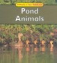 Pond Animals (Paperback)
