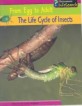 (The) life cycle of insects