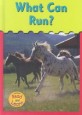 What Can Run (Library)